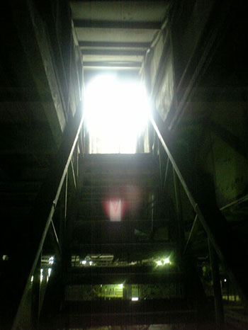 DVC01.jpg