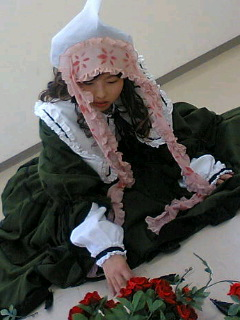 suisei.jpg